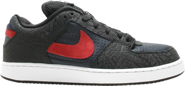 Nike Zoom SB (Team Edition) - Worn Good