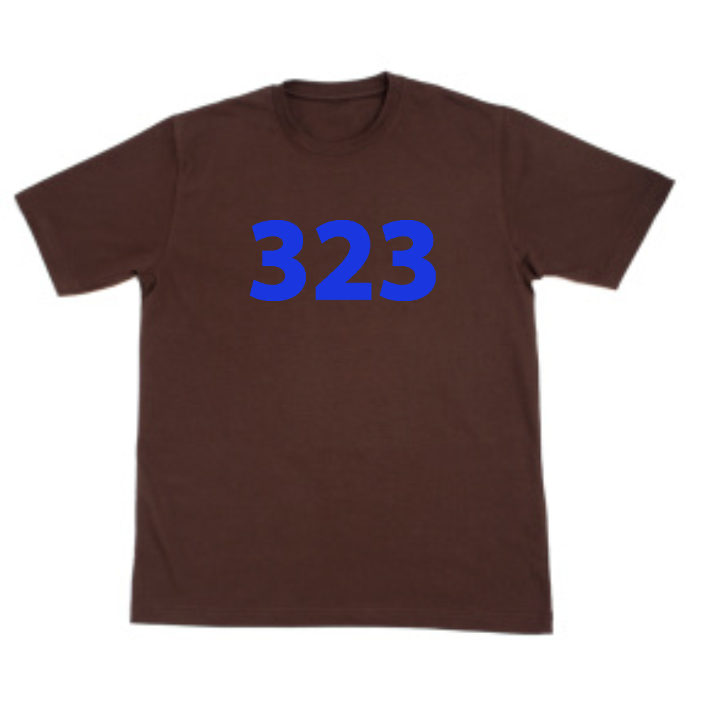 (323) T-Shirt 'Brown'