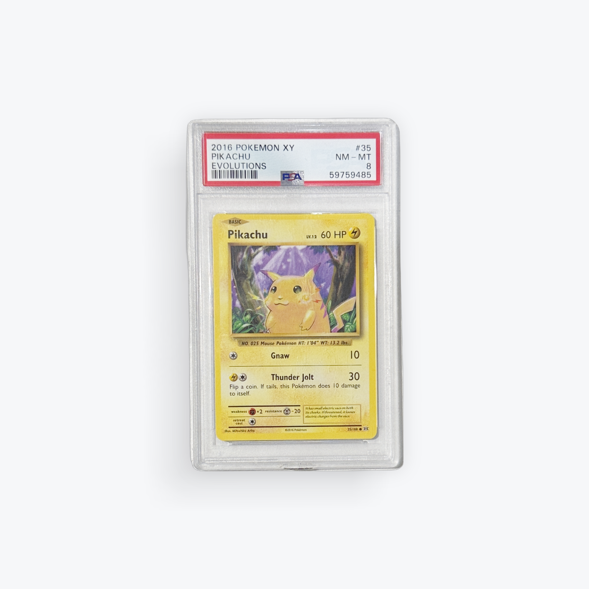 Pikachu - XY - Evolutions (EVO) 8
