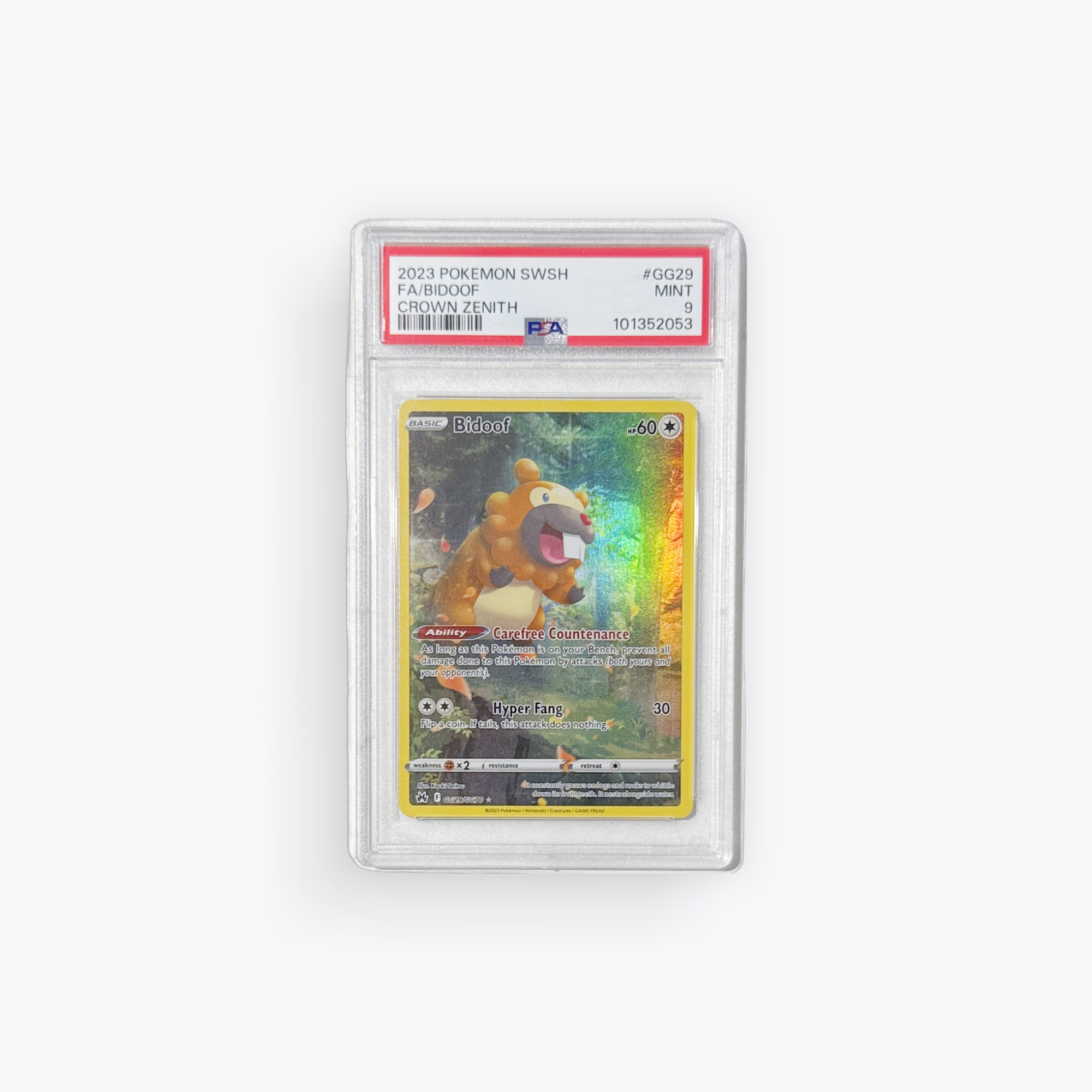 Bidoof - Crown Zenith: Galarian Gallery (CRZ:GG) Mint 9